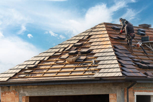 Best Skylight Installation and Repair  in Deming, NM