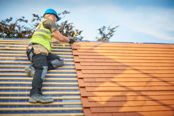 Best Roof Coating and Sealing  in Deming, NM